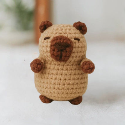 Kit Crochet Débutant - Capybara & Tortue Ô Calme