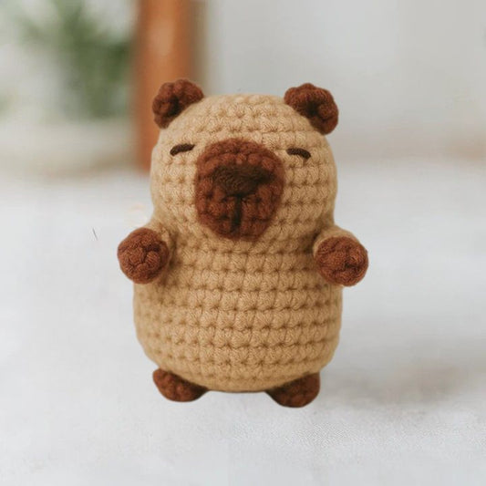 Kit Crochet Débutant - Capybara & Tortue Ô Calme